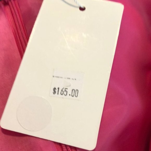 LUNA Pink Sheer Sheath Dress - Picture 8 of 11